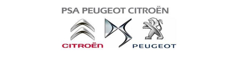 PSA-Peugeot-Citroen-logo.3.jpg